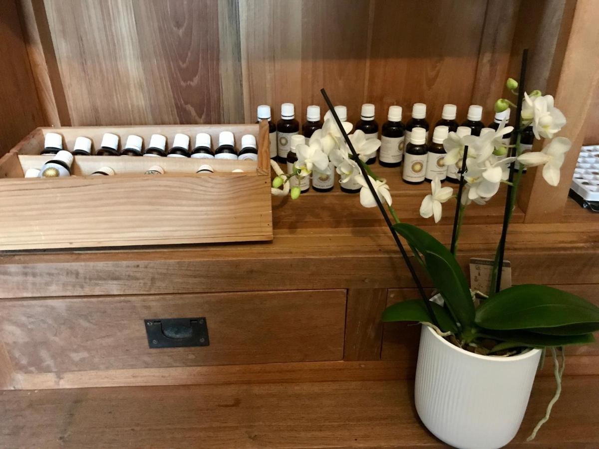 Coeur De Roses, Gite & Chambre D'Hotes Alaigne Εξωτερικό φωτογραφία
